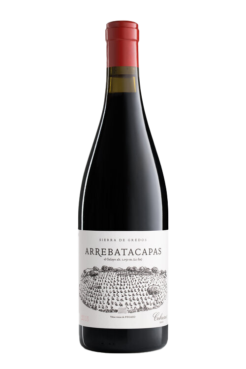 VINO TELMO RODRIGUEZ PEGASO ARREBATACAPAS 2021 750 ML